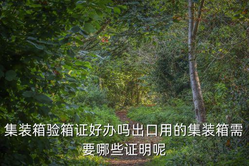 上海市集裝箱檢查證書，集裝箱驗箱證好辦嗎出口用的集裝箱需要哪些證明呢