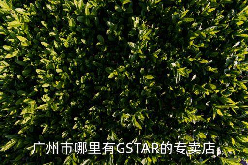 廣州卓越專賣店，廣州市哪里有GSTAR的專賣店
