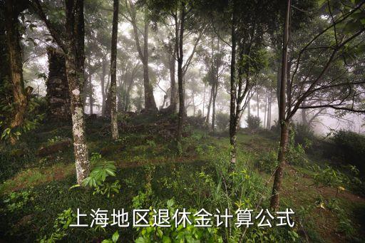 上海市城保退休金如果計算，上海地區退休金計算公式