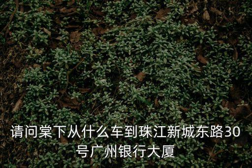 請(qǐng)問棠下從什么車到珠江新城東路30號(hào)廣州銀行大廈