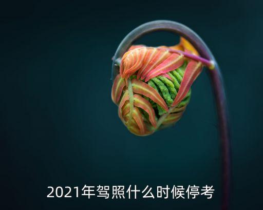 上海市2021年一月考試延期，2021年駕照什么時候停考