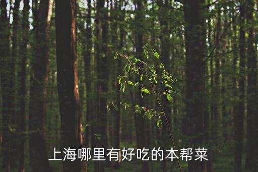 上海市場附近哪家的菜合好吃，上海哪里的本幫菜館比較實惠又好吃呢請幫助