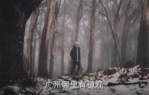 廣州越秀道觀，廣州市哪里有寺廟或者道觀之類的