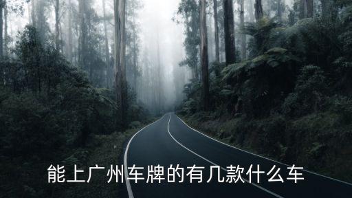 能上廣州車牌的有幾款什么車