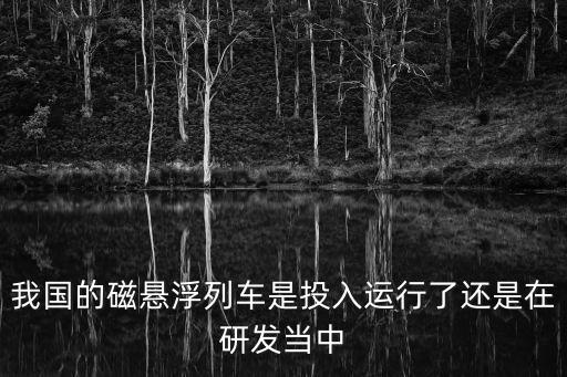 我國在上海市投入運，中國出現的第一條正式投入運營的鐵路是哪條鐵路
