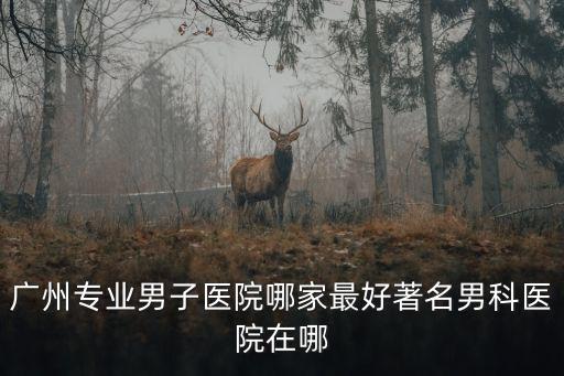 廣州那里有專業(yè)男科，廣州市男性專科醫(yī)院 廣州市越秀區(qū)哪家男科專科醫(yī)院比較好