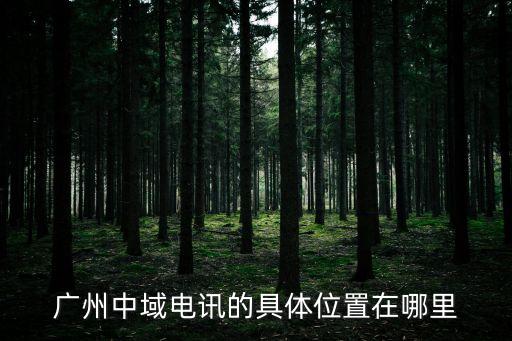 廣州市鐘村中域電訊，廣州中域電訊的具體位置在哪里