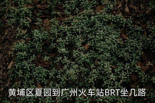 黃埔區(qū)夏園到廣州火車站BRT坐幾路