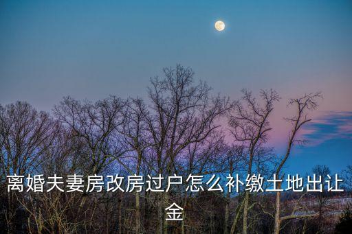 廣州市房改房如何補交土地出讓金，離婚夫妻房改房過戶怎么補繳土地出讓金