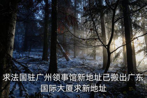 求法國駐廣州領事館新地址已搬出廣東國際大廈求新地址