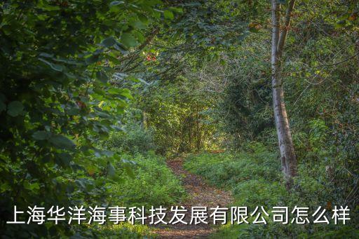 上海市華洋船舶科技開發(fā)公司，上海華洋海事科技發(fā)展有限公司派的船怎么樣