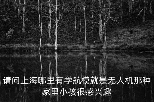 上海市航模培訓班，上海浦東金新小學有哪些興趣課