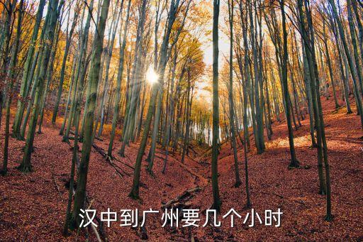 漢中到廣州坐火車要多長時間，漢中到廣州要幾個小時