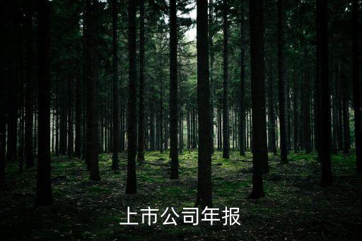 上海市企業(yè)年報(bào)可否兩年報(bào)，上市公司年報(bào)