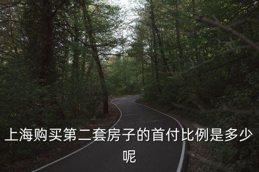 上海市二套房首付比例70，現今上海市二套房購買首付比例
