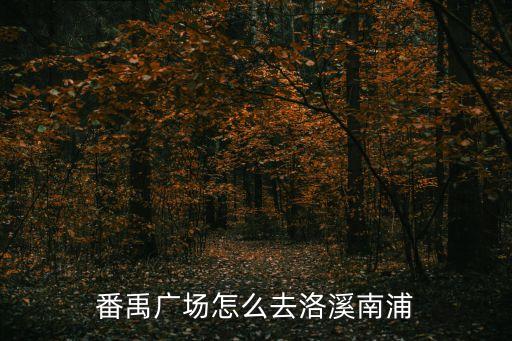 番禹廣場怎么去洛溪南浦