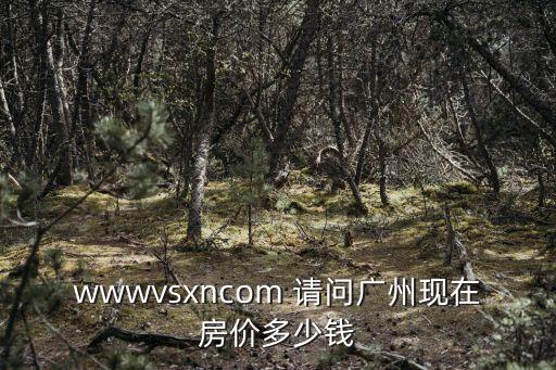 wwwvsxncom 請問廣州現在房價多少錢