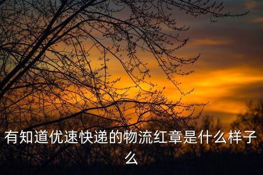 有知道優(yōu)速快遞的物流紅章是什么樣子么