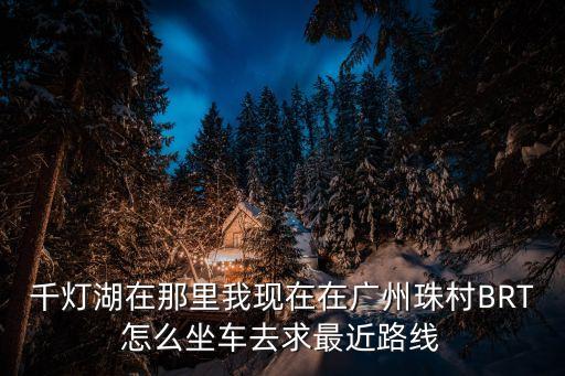 千燈湖在那里我現在在廣州珠村BRT怎么坐車去求最近路線