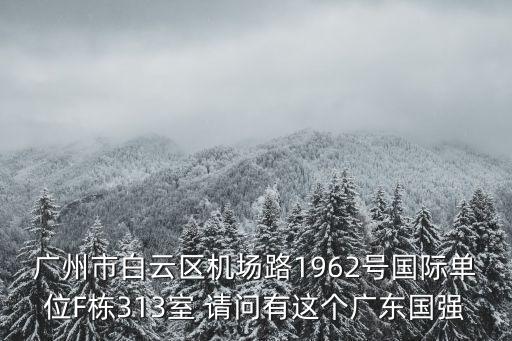 廣州市白云區機場路1962號國際單位F棟313室 請問有這個廣東國強