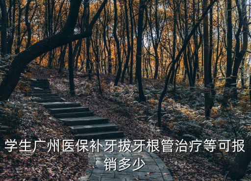 學(xué)生廣州醫(yī)保補(bǔ)牙拔牙根管治療等可報銷多少