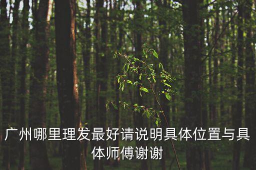 廣州白云寺鎮(zhèn)美發(fā)，廣州哪里理發(fā)最好請(qǐng)說明具體位置與具體師傅謝謝