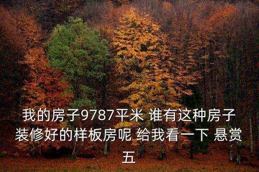 我的房子9787平米 誰有這種房子裝修好的樣板房呢 給我看一下 懸賞五