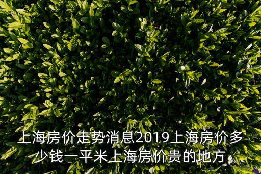 上海房價走勢消息2019上海房價多少錢一平米上海房價貴的地方