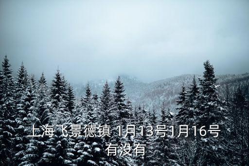 上海飛景德鎮(zhèn) 1月13號(hào)1月16號(hào) 有沒有