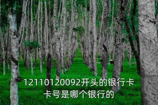 12110120092開頭的銀行卡卡號是哪個銀行的