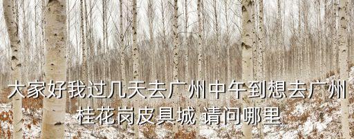 大家好我過幾天去廣州中午到想去廣州 桂花崗皮具城 請問哪里