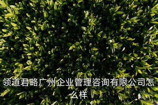 領(lǐng)道君略廣州企業(yè)管理咨詢有限公司怎么樣