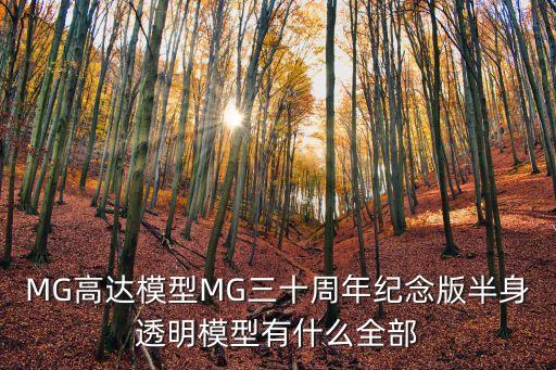 廣州高達模型40周年，高達三十周年是幾時有什么新出的機體