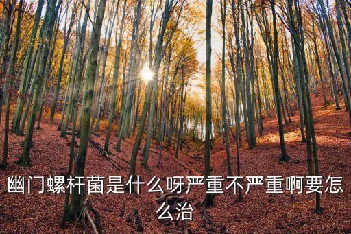幽門螺桿菌是什么呀嚴重不嚴重啊要怎么治
