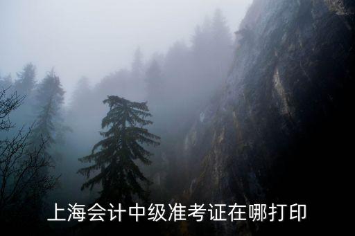 上海市會計中級準考證打印，上海會計中級準考證在哪打印