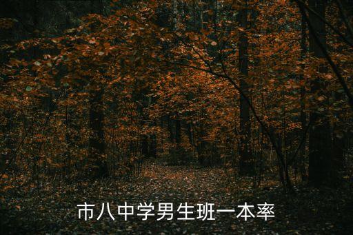 上海市八中學(xué)男生班怎么樣，請問上海市市八中學(xué)男子實(shí)驗(yàn)班屬于市重點(diǎn)嗎一本率大概多少呢謝謝