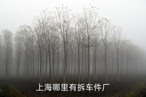 上海市大巴車拆車件，上海哪有賣拆車件的地方