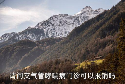 請問支氣管哮喘病門診可以報(bào)銷嗎
