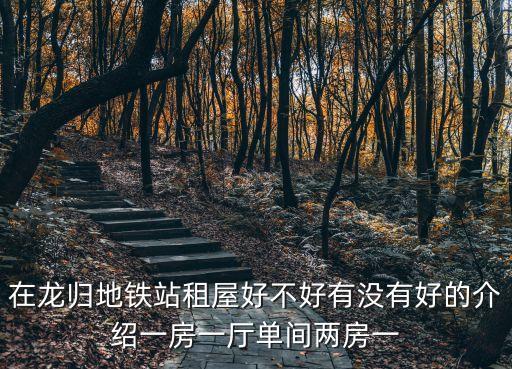 廣州龍歸地鐵口附近租房怎么樣，廣州龍歸地鐵站附近的租房子怎么樣