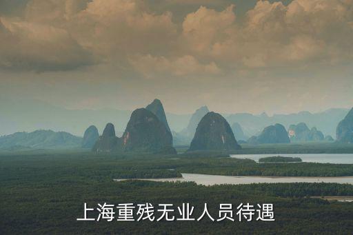 上海重殘無業人員待遇