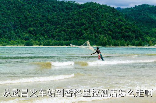 從武昌火車站到香格里拉酒店怎么走啊