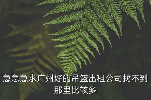 廣州哪里有吊籃出售，廣州吊籃租最集中地地方時哪里宏達在嗎
