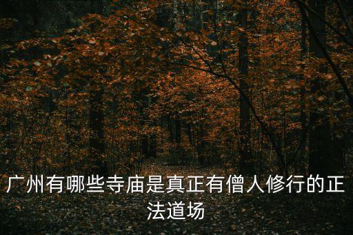 廣州有哪些寺廟是真正有僧人修行的正法道場