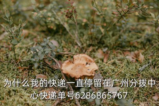 分貝通 廣州，EMS快遞到廣州航站處理中心已經(jīng)很長時間一直沒動怎么辦