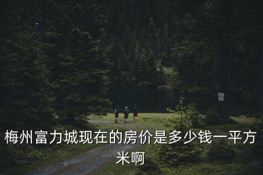 廣州富力城房價多少錢，廣州平沙富力城二手房多少錢一方