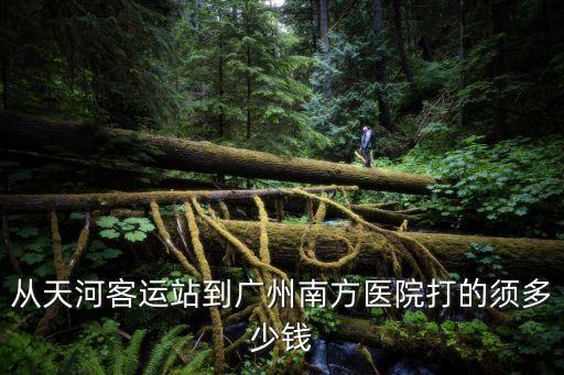 從天河客運站到廣州南方醫院打的須多少錢