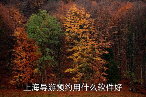 2018上海市旅游app哪個好，有沒有比較好的旅游類的APP推薦