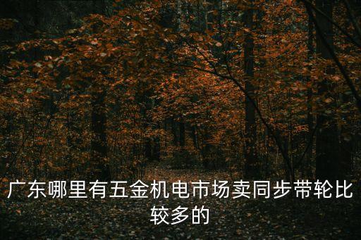廣東哪里有五金機電市場賣同步帶輪比較多的