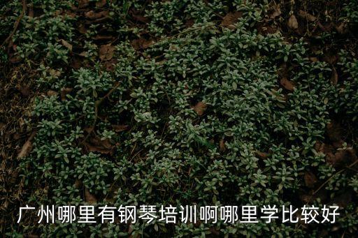 廣州哪里有鋼琴培訓啊哪里學比較好