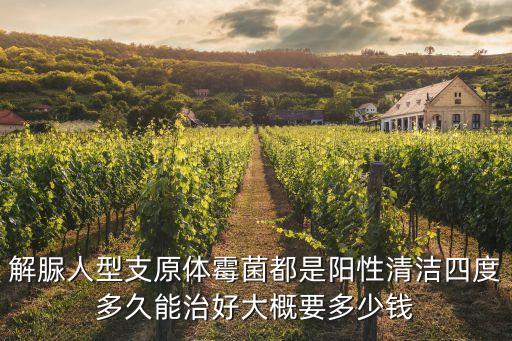 解脲人型支原體霉菌都是陽性清潔四度多久能治好大概要多少錢
